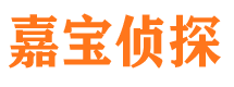 和静市侦探公司